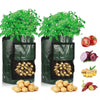 Grow potatoes at home: smart potato grow bag for patio and balcony