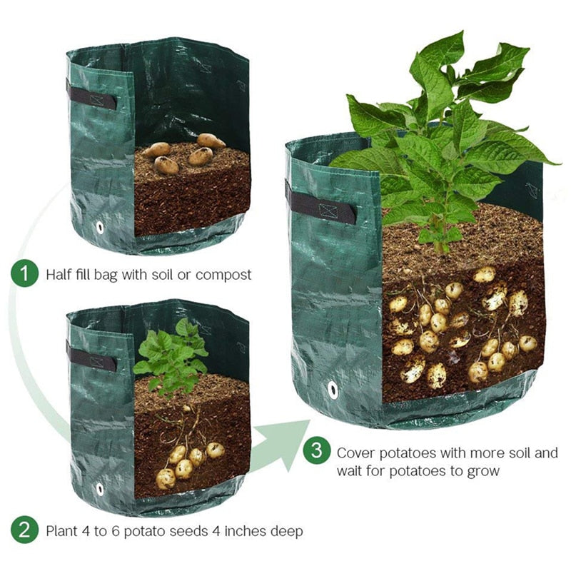Grow potatoes at home: smart potato grow bag for patio and balcony