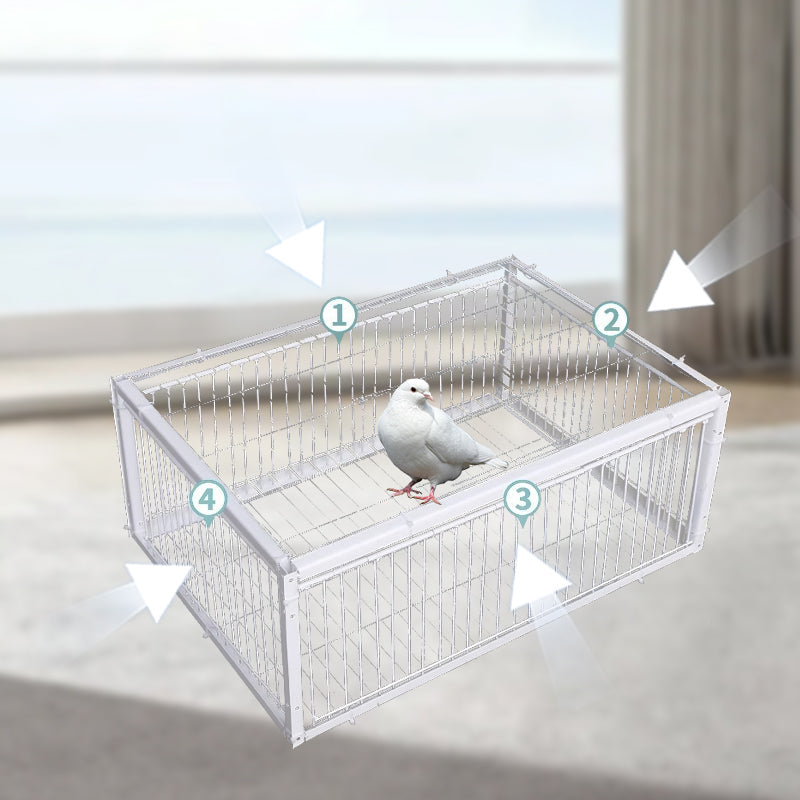 Gentle Bird Trap with Anti-Return Mechanism – BirdSafe Trap