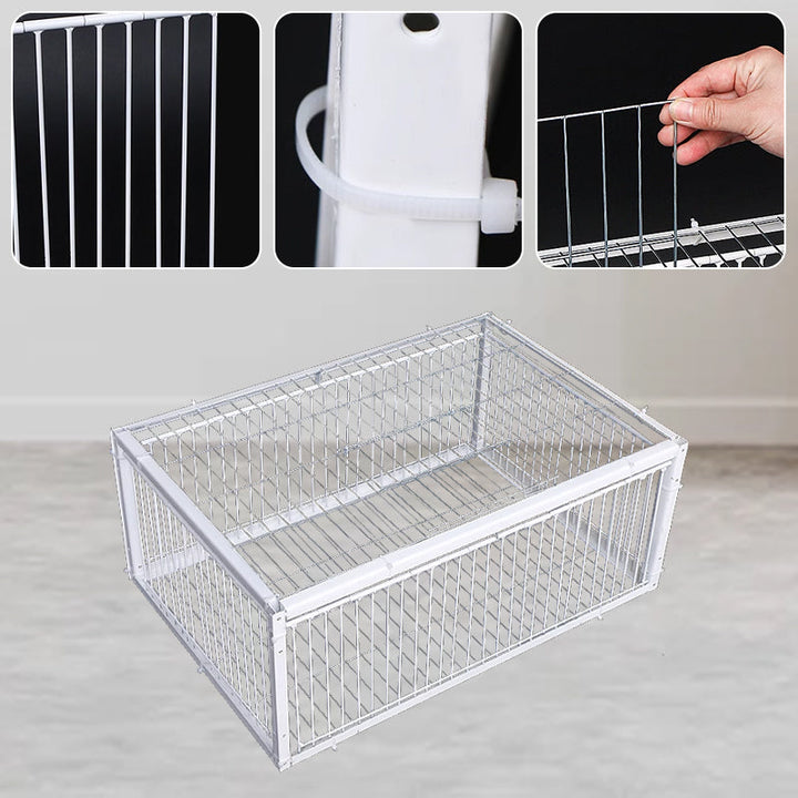 Gentle Bird Trap with Anti-Return Mechanism – BirdSafe Trap