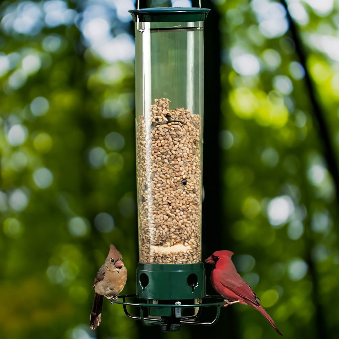 Squirrel Proof Bird Feeder with Weight Activated Spinning Perch and Anti Guard