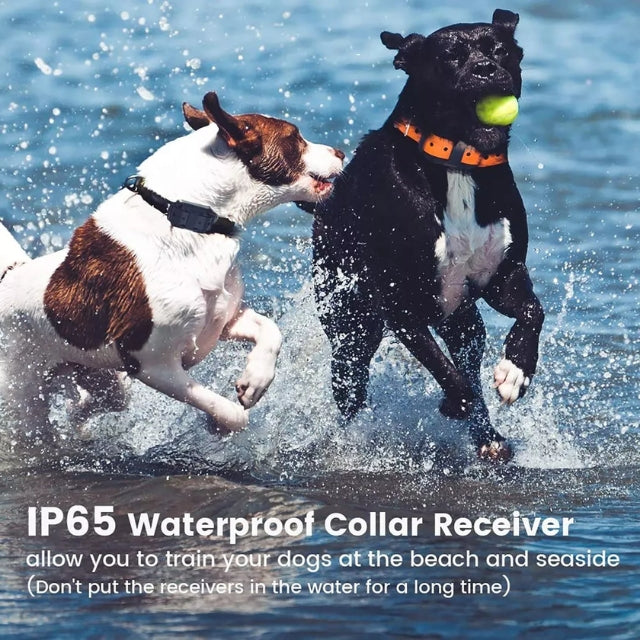 Electric Dog Training Collar – Safe, Effective, Waterproof