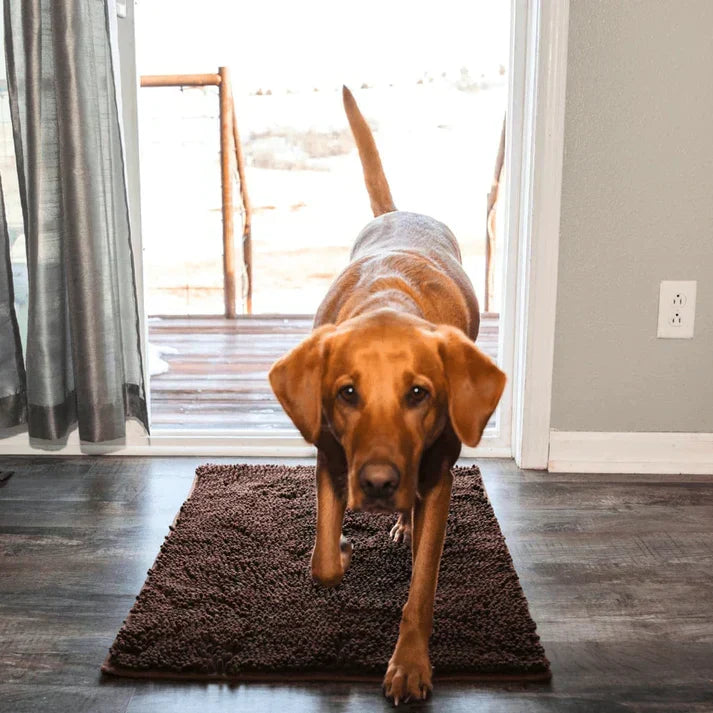 Super Absorbent Dog Mat – PawMat