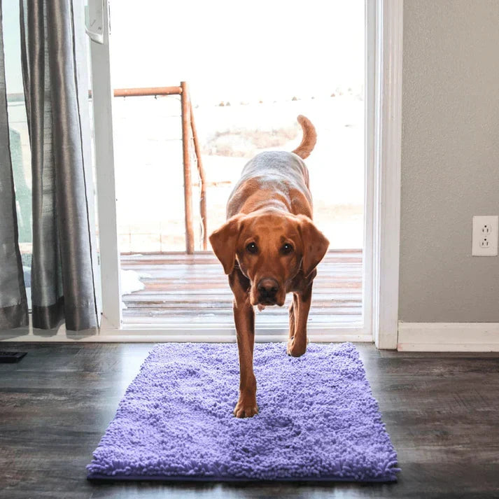 Super Absorbent Dog Mat – PawMat